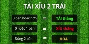 Tài xỉu 2 trái